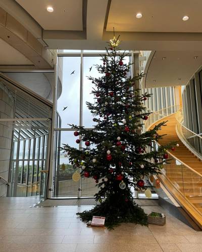 Weihnachtsbaum im Landtag, Besuch des Landtages 2023